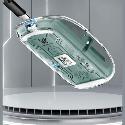 ROVAIRE Arctic Fox Transparent Bluetooth Rechargeable Mouse – Sleek, Ergonomic & Multi-Device Compatible